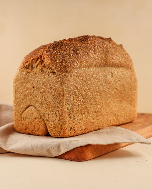 Sourdough Whole Wheat Loaf