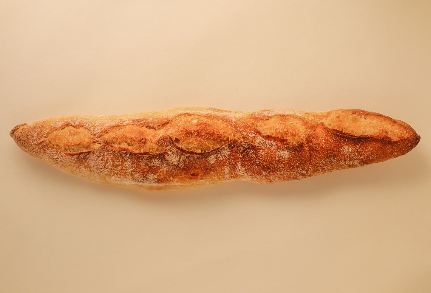 Sourdough Baguette