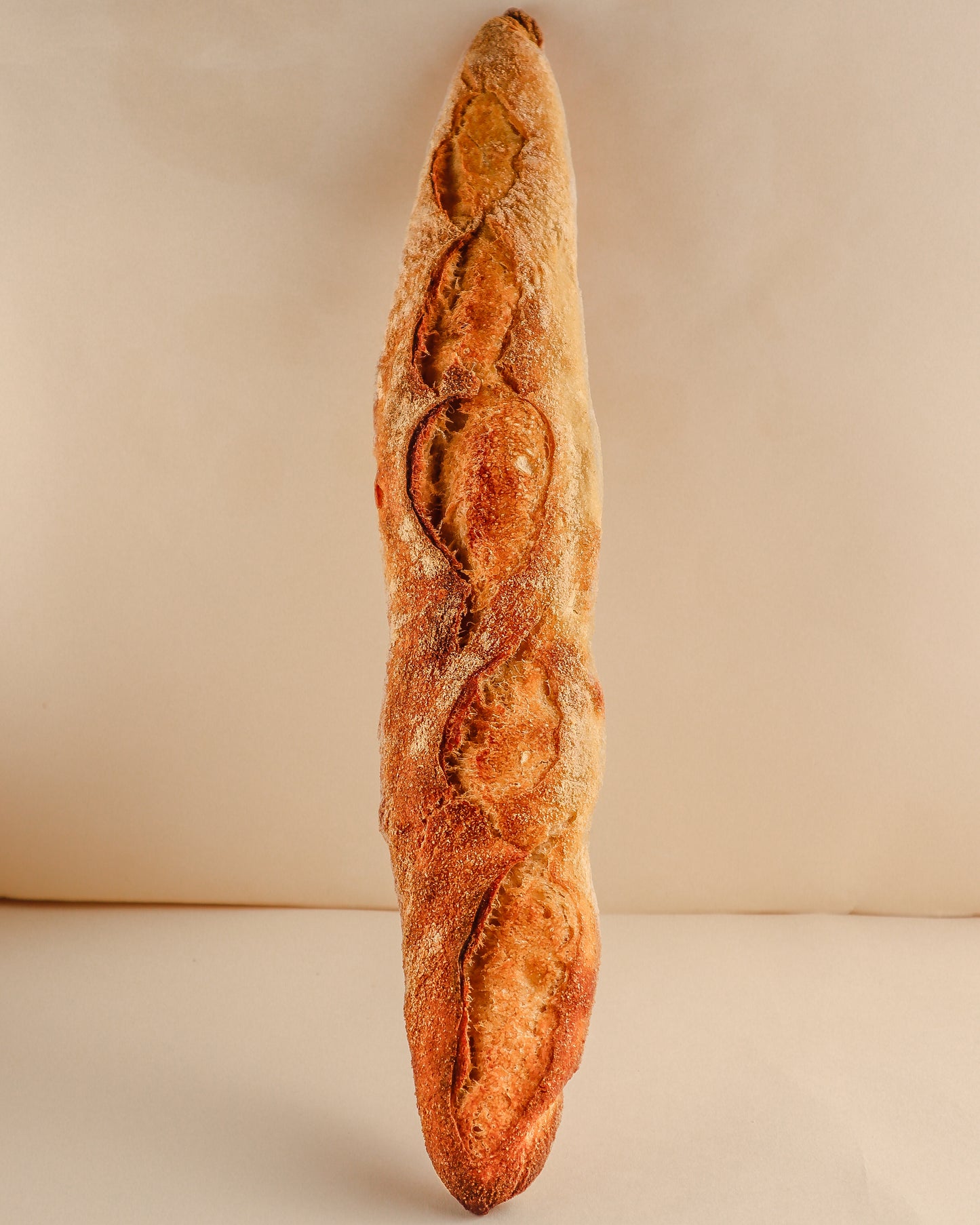 Sourdough Baguette